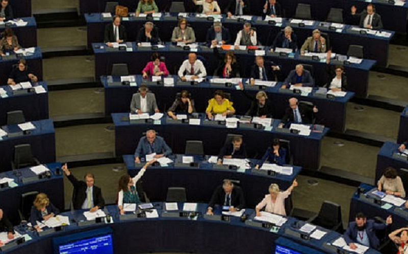 Тя бе подкрепена от 11 от общо 17 български евродепутати.
