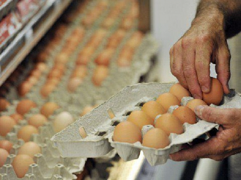 Цената на яйцата в България в сред най ниските в Европейския