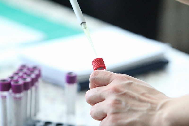 Направени са 4948 теста и са поставени 252 дози ваксини Хоспитализираните