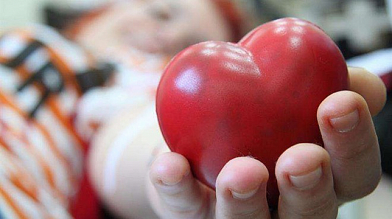 Днес отбелязваме Европейския ден на донорството и трансплантацията на органи