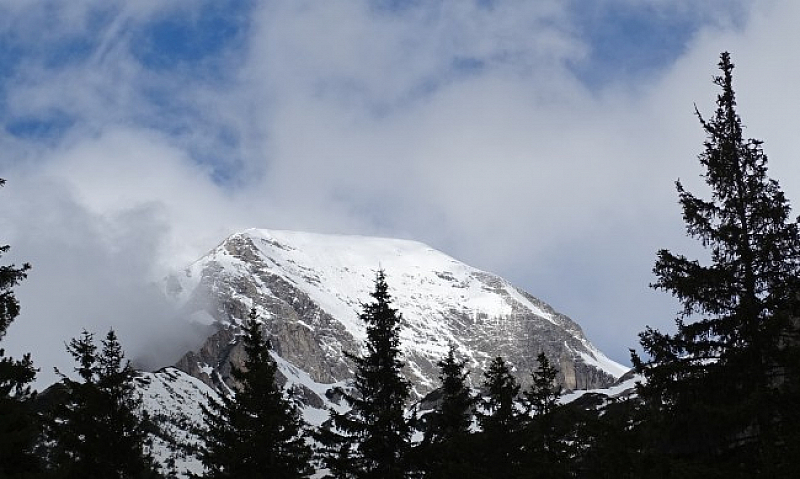 Снежната маса частично е затрупала трима от общо четиримата планинари