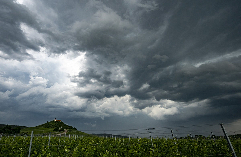 Ще бъде предимно облачно До обяд в Дунавската равнина ще