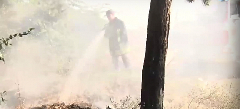 Пожарът е избухнал в горите около района на Яланчибогаз. Телевизионните
