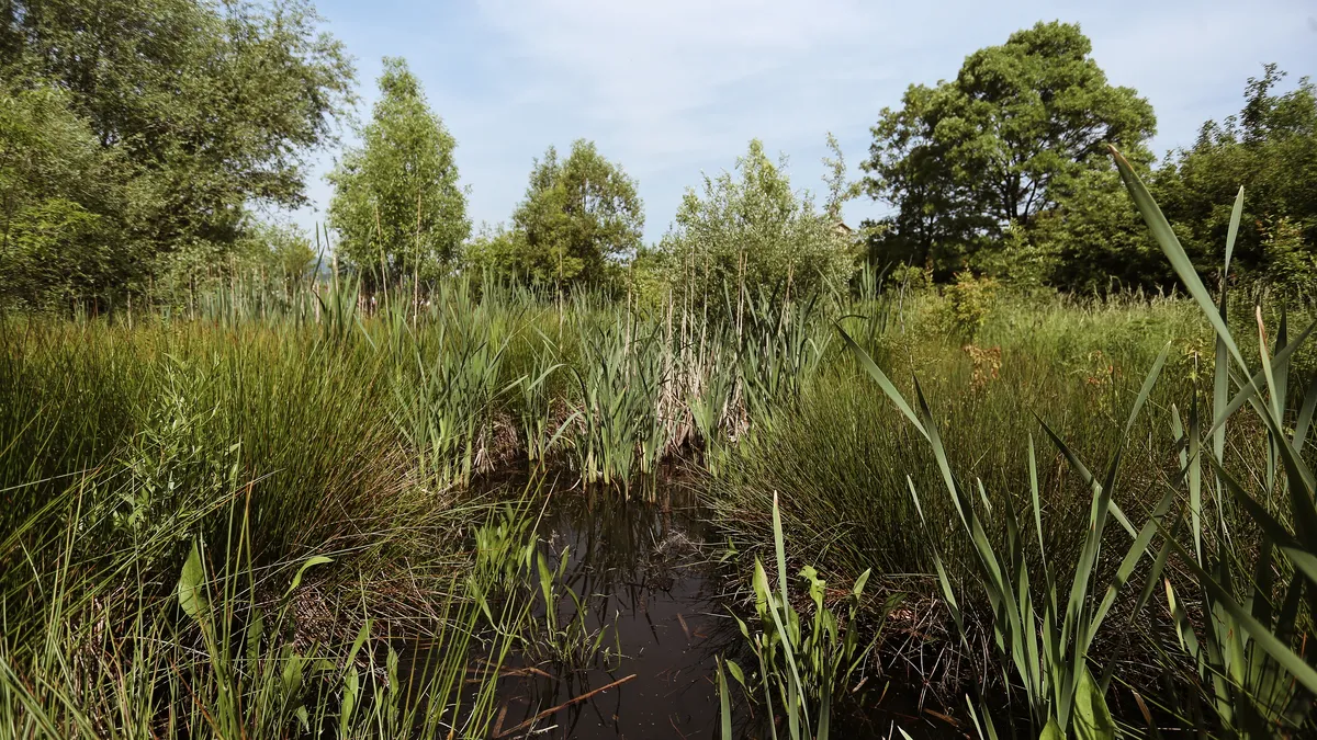 На инвеститора е предоставен 20 дневен срок за представяне на