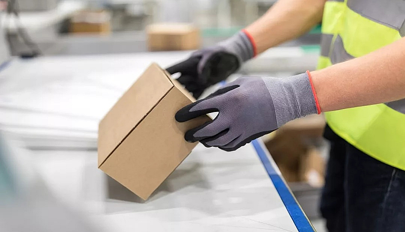 Тази временна мярка е в отговор на факта че влизането