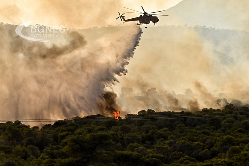 Изгорената от пожарите територия ще надхвърли 1,5 милиарда квадратни метра