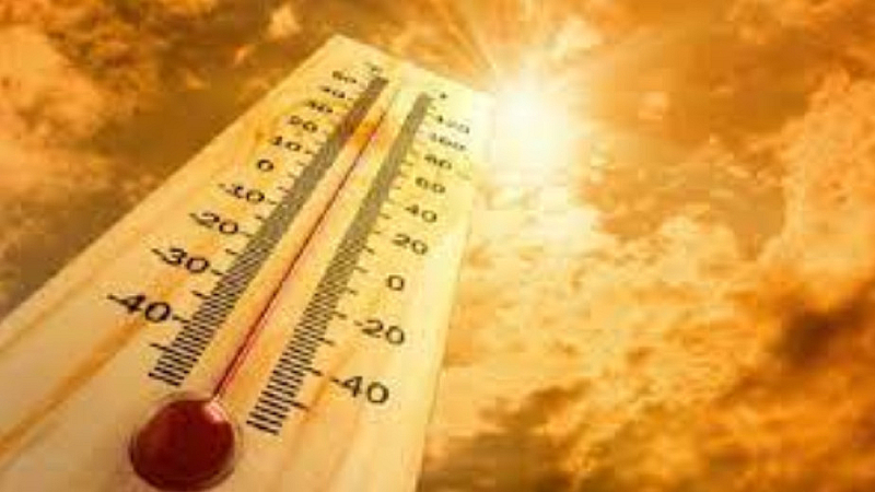 Миналия месец е изпреварил най-топлия януари, отчетен през 2020 г.,