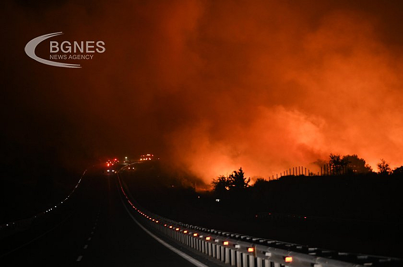 Подпалвачите предизвикват пожари които заплашват гори собственост и най вече човешки