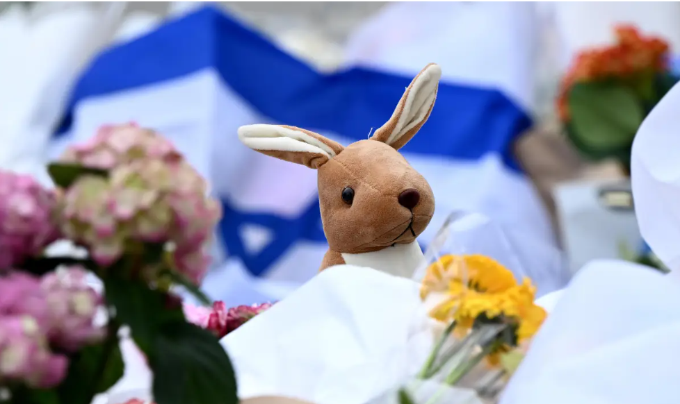 Кои са заподозренитеПолицията на щата Нов Южен Уелс идентифицира стрелците