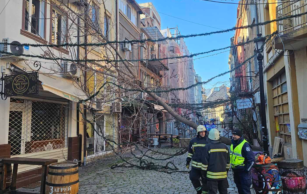 На много места в града контейнери за смет бяха разместени