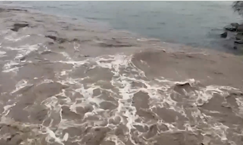 Село Ново Паничарево беше сред най рисковите точки заради опасност