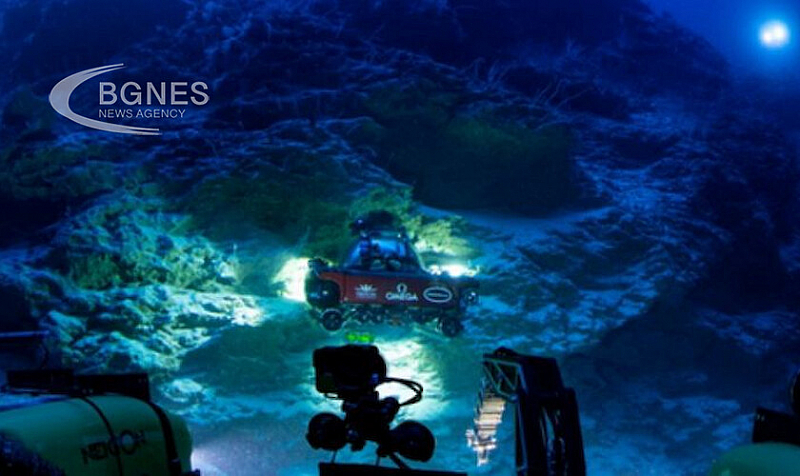 Неотдавнашна подводна мисия около дълбоководна подводна планина на архипелага разкри