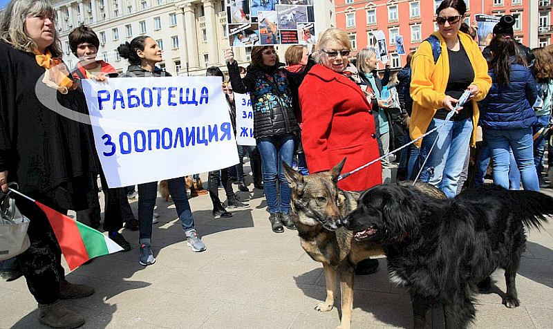 В Пловдив протестиращите заявиха че искат общественото внимание да се