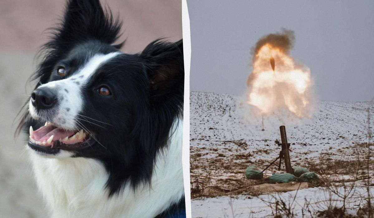 Човешката цена на войната в Украйна е добре документирана Но