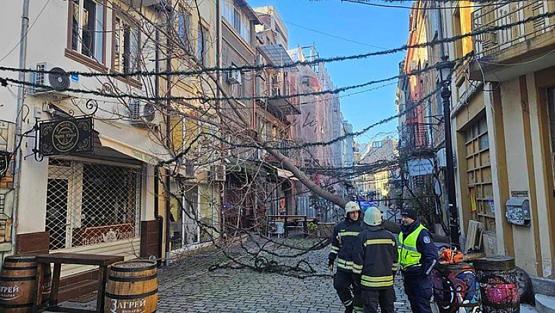 Кметът на Панагюрище Желязко Гагов изтъкна че бързата реакция на