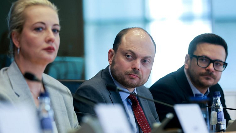 В резолюцията си за създаване на Платформата Асамблеята заяви че