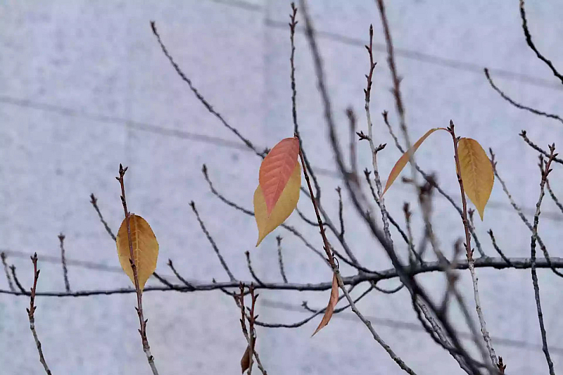 Атмосферното налягане е значително по високо от средното за месеца