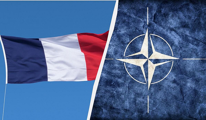 Гьот заяви че напускането на НАТО отдавна е позиция на