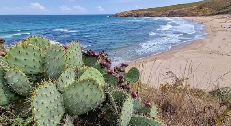 Виртуалнатая разходка започва от най северните места по нашето Черноморие и