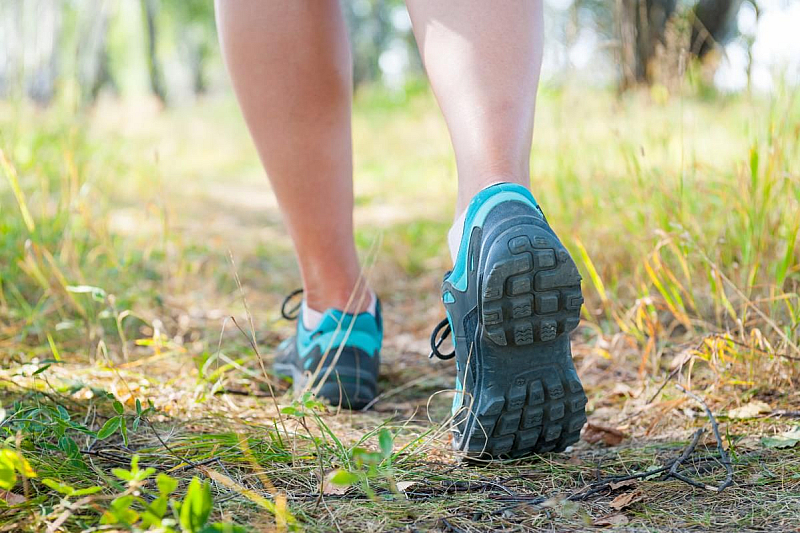  Какво е японско ходене  Клиничният физиолог Лора А Ричардсън обяснява