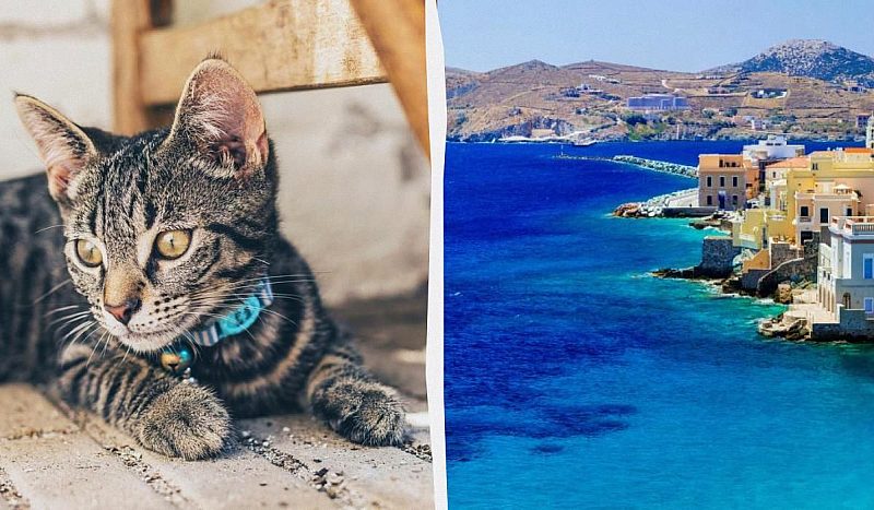 От 90 те години на миналия век благотворителни организации като