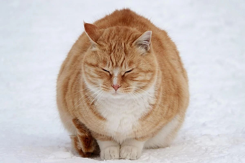 На места в източната половина от страната все още ще