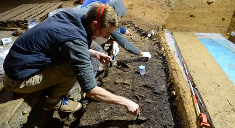 Откъслечни костни вкаменелости и молар открити в България датирани преди