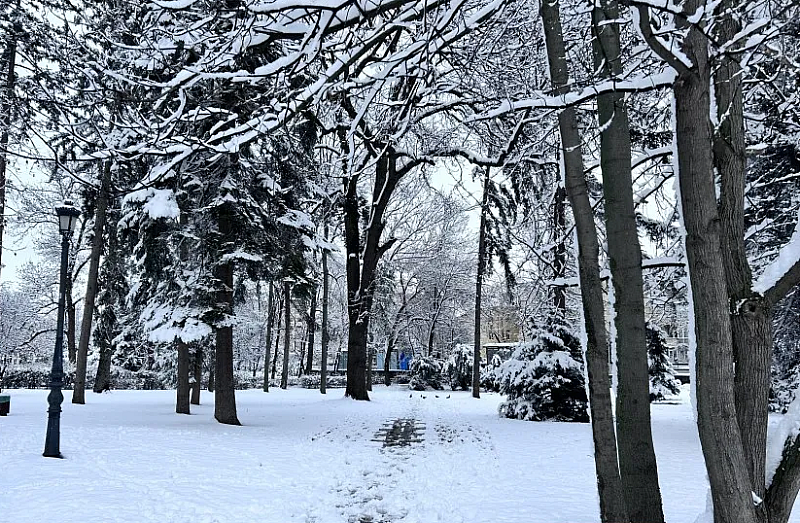По думите ѝ във високата част на планините около Коледа