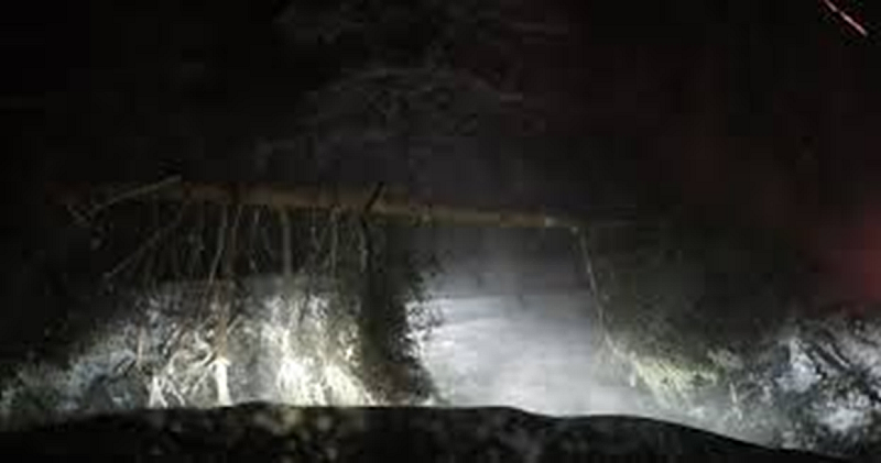 Автомобилът е управляван от 34 годишен мъж В него са