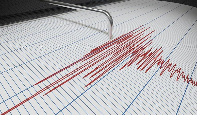 Според предварителен доклад това земетресение е отнело живота на 296