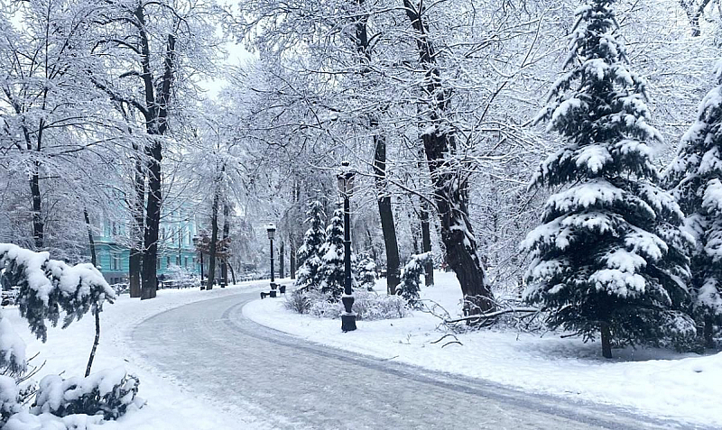 Той също така призова работодателите да организират гъвкаво работно време