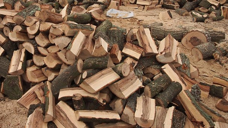 По списък Любомир от Вакарел има право да получи дърва
