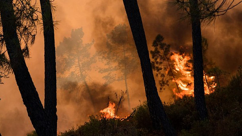 Над 375 000 хектара земя в провинцията вече са изгорели