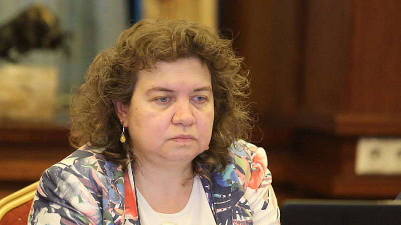Това заяви преподавателят по конституционно право доц Наталия Киселова пред Нова