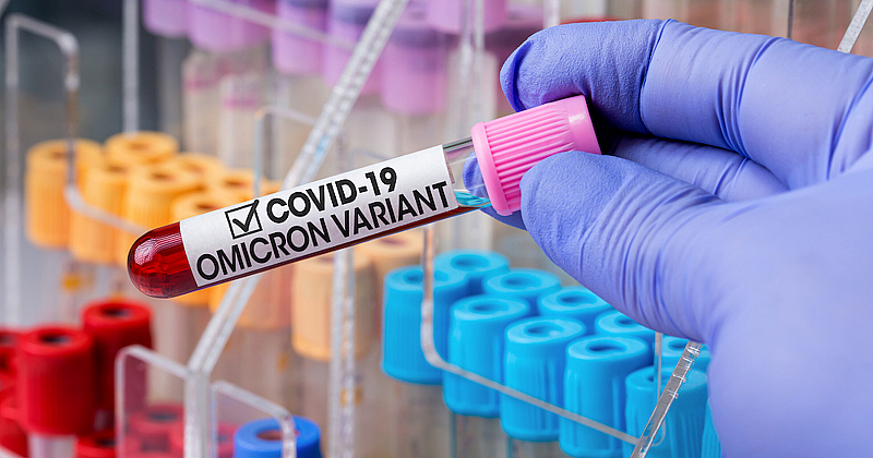 Анализираните 803 проби са взети от пациенти с COVID 19 в