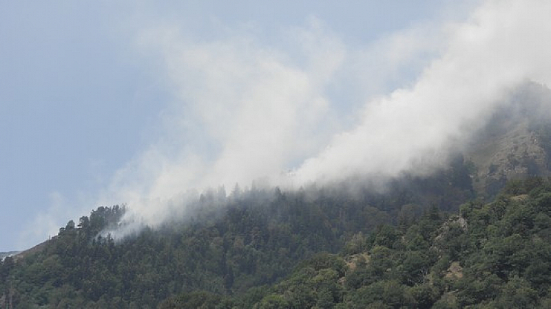 В борбата с огнената стихия са включили 70 пожарникари горски