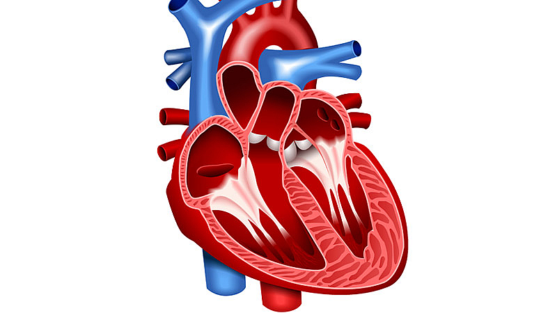 С 2100 пъти по силен ефект в посока изчистване на тялото