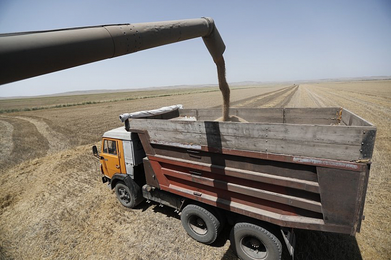 Българските земеделски производители имат пълната ни подкрепа заради трудностите пред