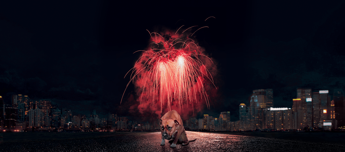 Експерти от природозащитни организации напомнят че силният и внезапен шум