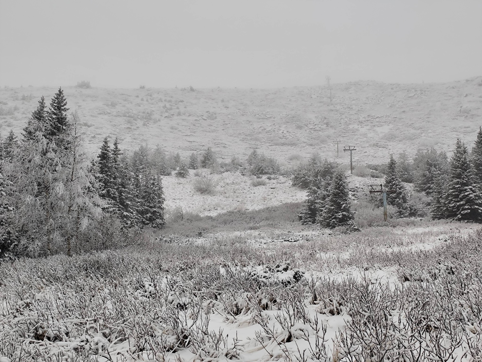 От общината призовават туристите да не предприемат пътувания към Витоша
