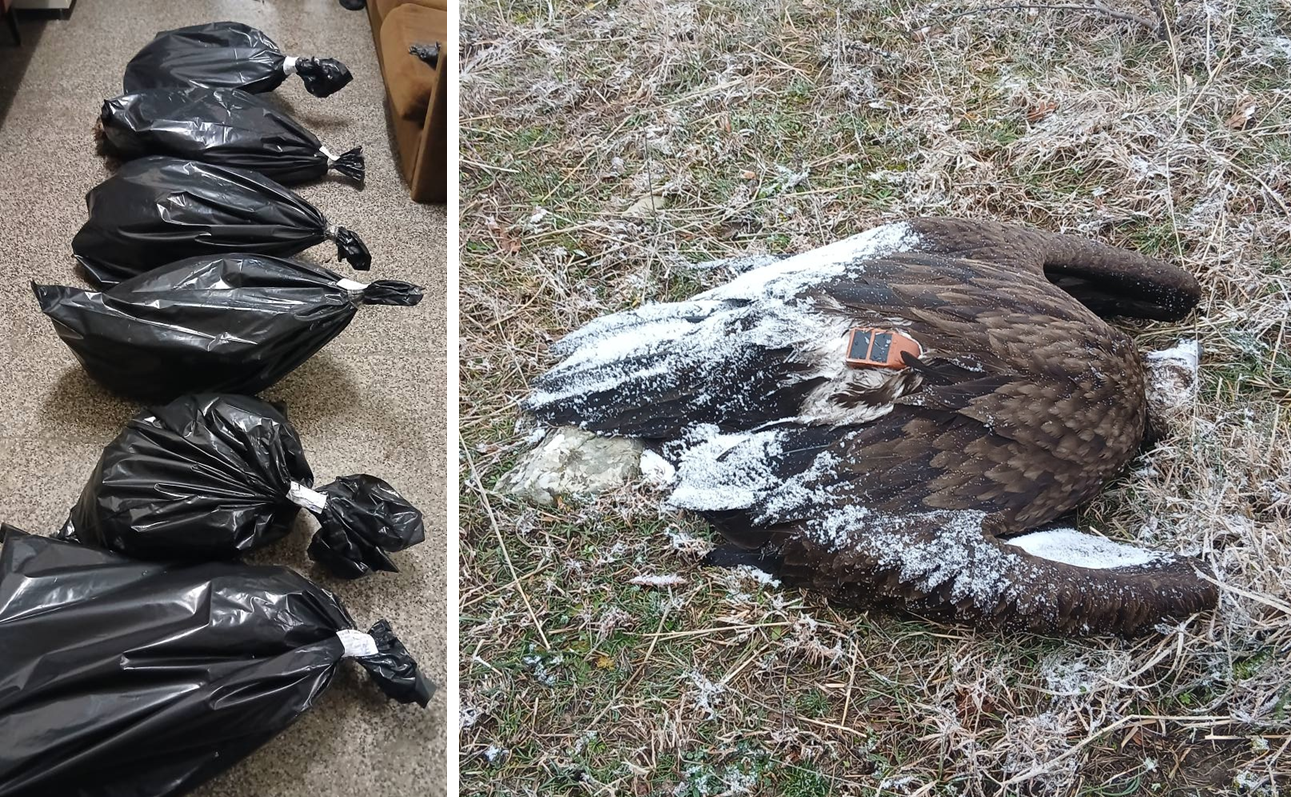 Сигналът за бедствието е подаден на 10 януари 2026 г