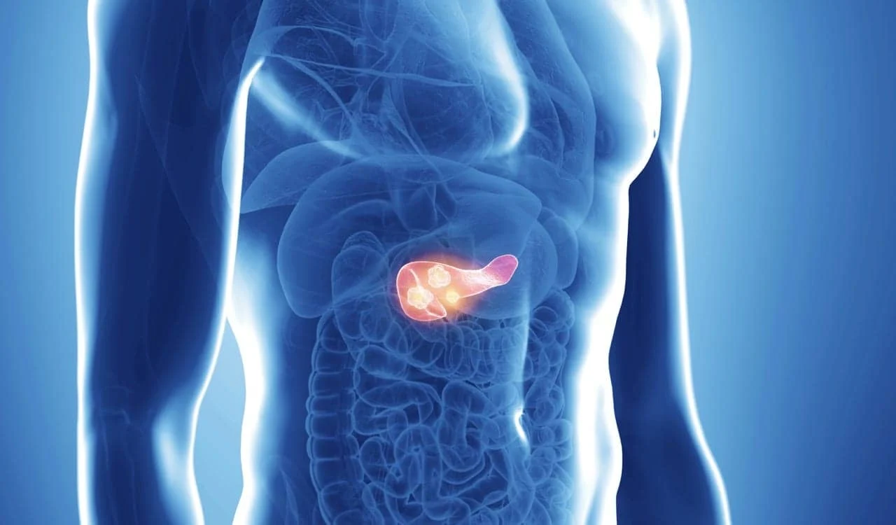 Тези изследвания откриват пътя към разработването на нови комбинирани терапии