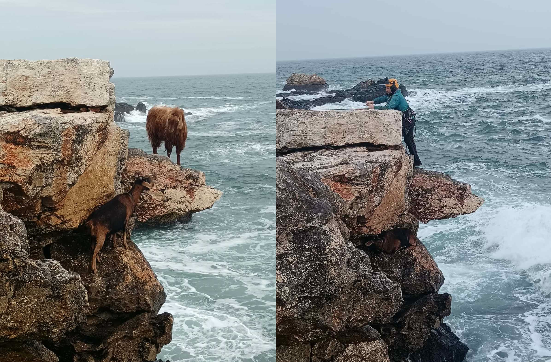 След подаден сигнал на телефон 112 информацията е предадена на