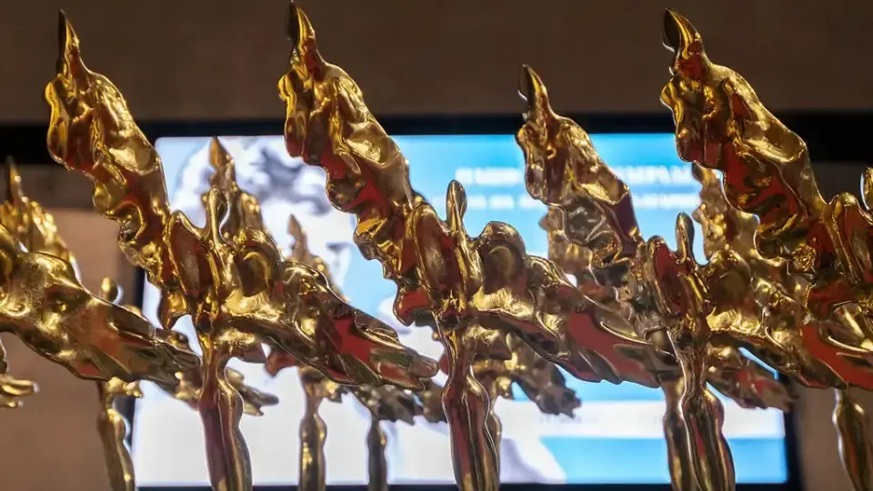 Номинациите са определени от комисия с председател актрисата Албена Павлова