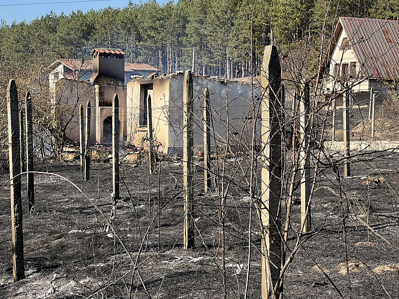 Бързата намеса на служителите от пожарната в Пазарджик Горско стопанство