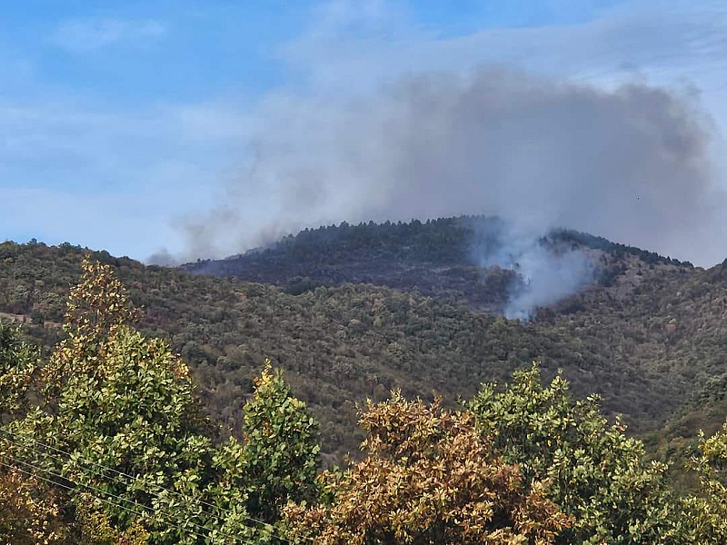 Огънят гори в труднодостъпна местност край махала Веселиновци което затруднява
