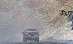 Държава на командно дишане: Бурен вятър и 20 см сняг блокираха градове, села и пътища