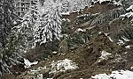 Продължава бедственото положение в община Смолян, заседава областният кризисен щаб