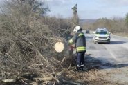 Силен вятър събори дървета и спря движението по пътя Русе – София