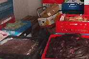 3,6 тона негодно месо от кланица в Харманли отиват за унищожение